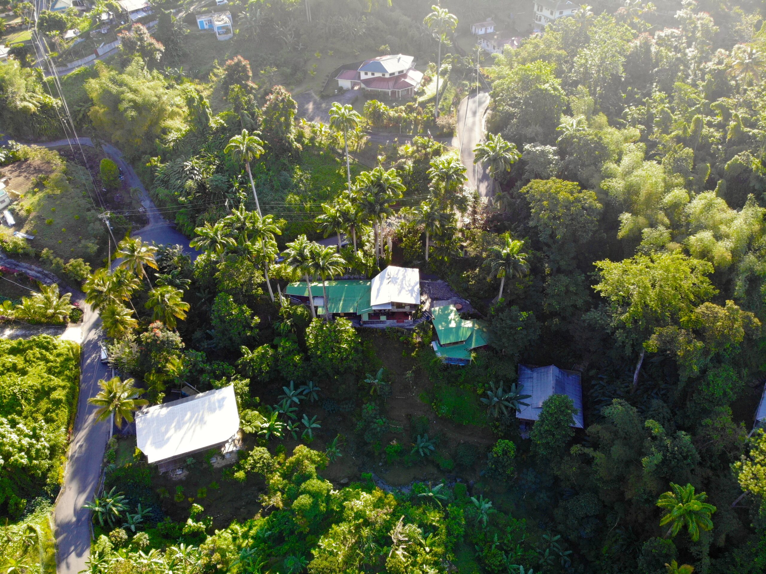 Dominica