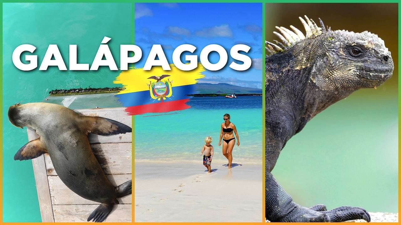Travel Guide Galapagos