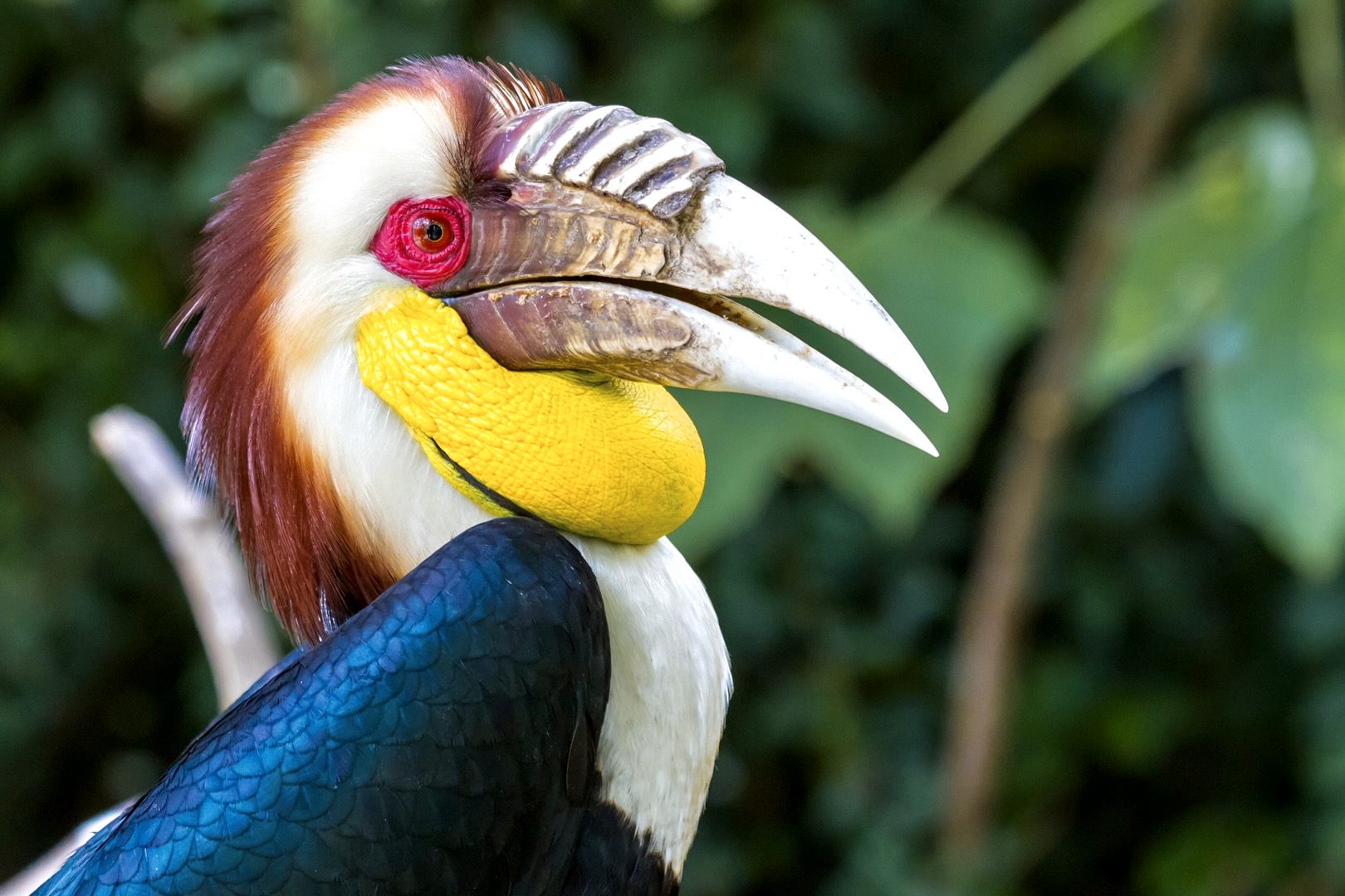 Khao Yai NP Thailand