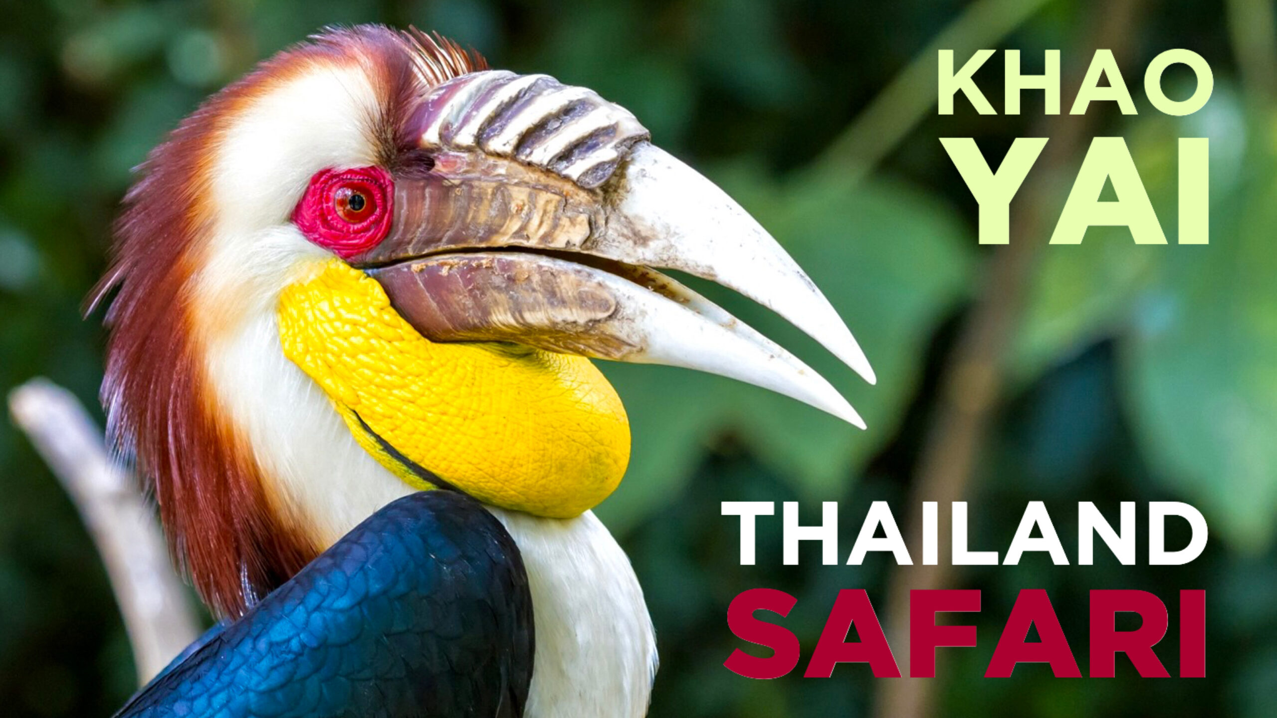 Khao Yai National Park Thailand