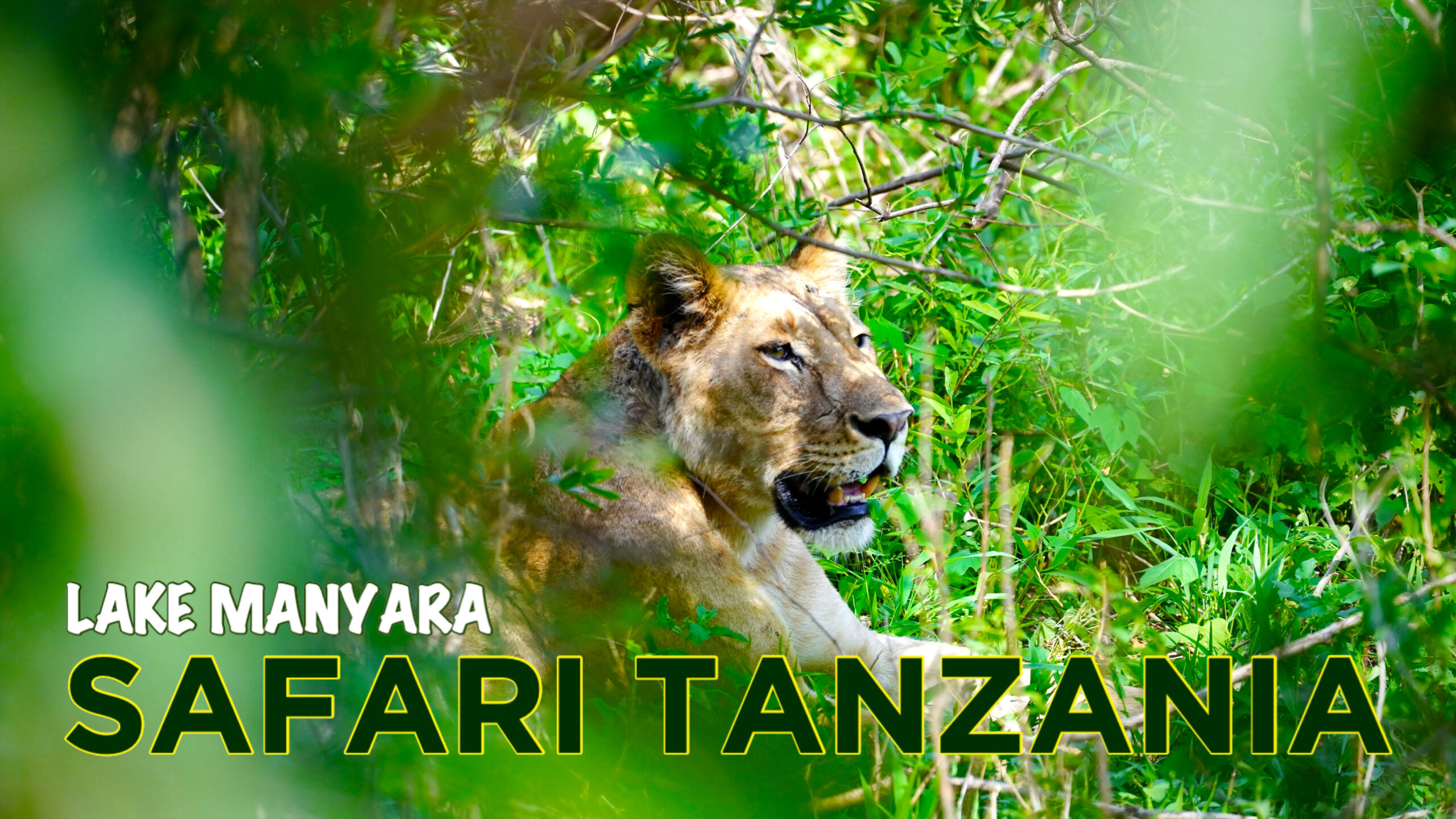 Safari Lake Manyara