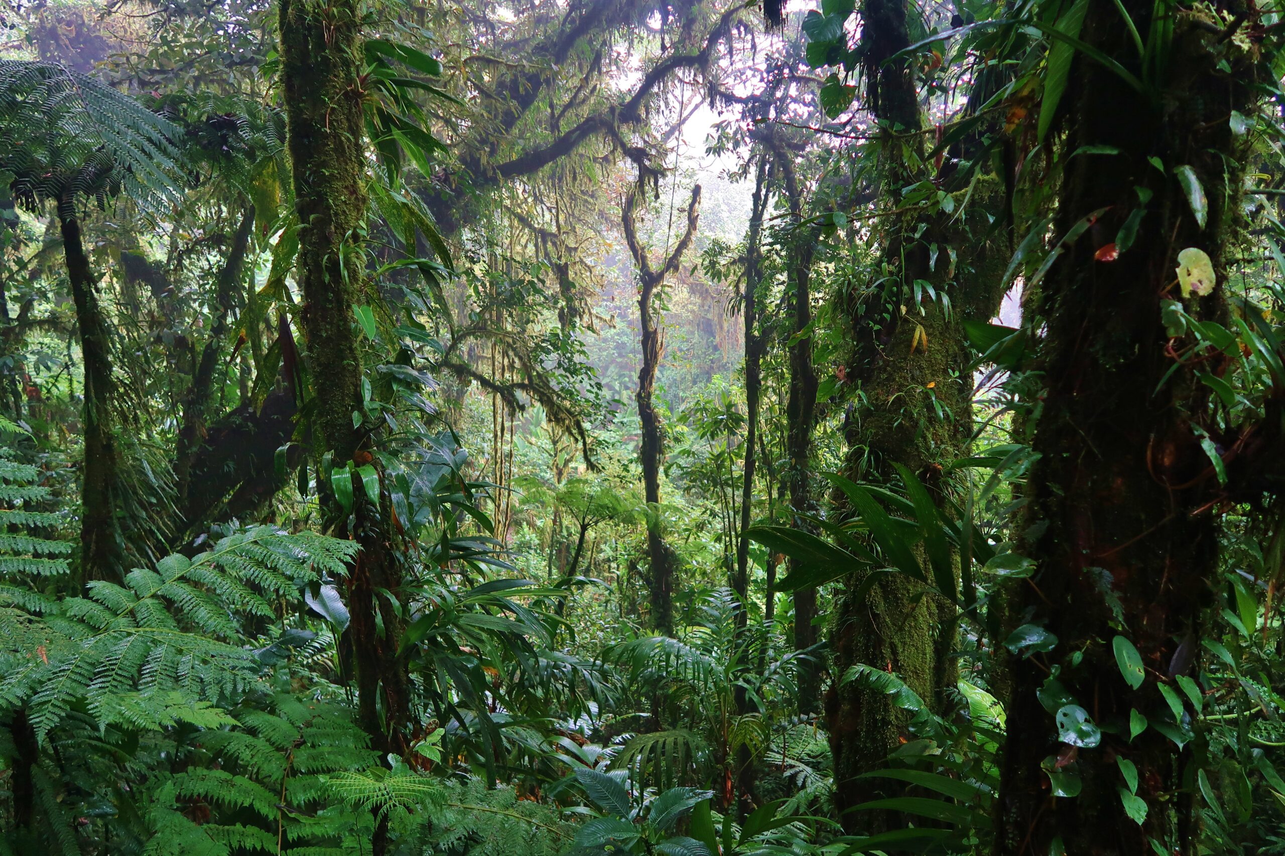 Costa Rica