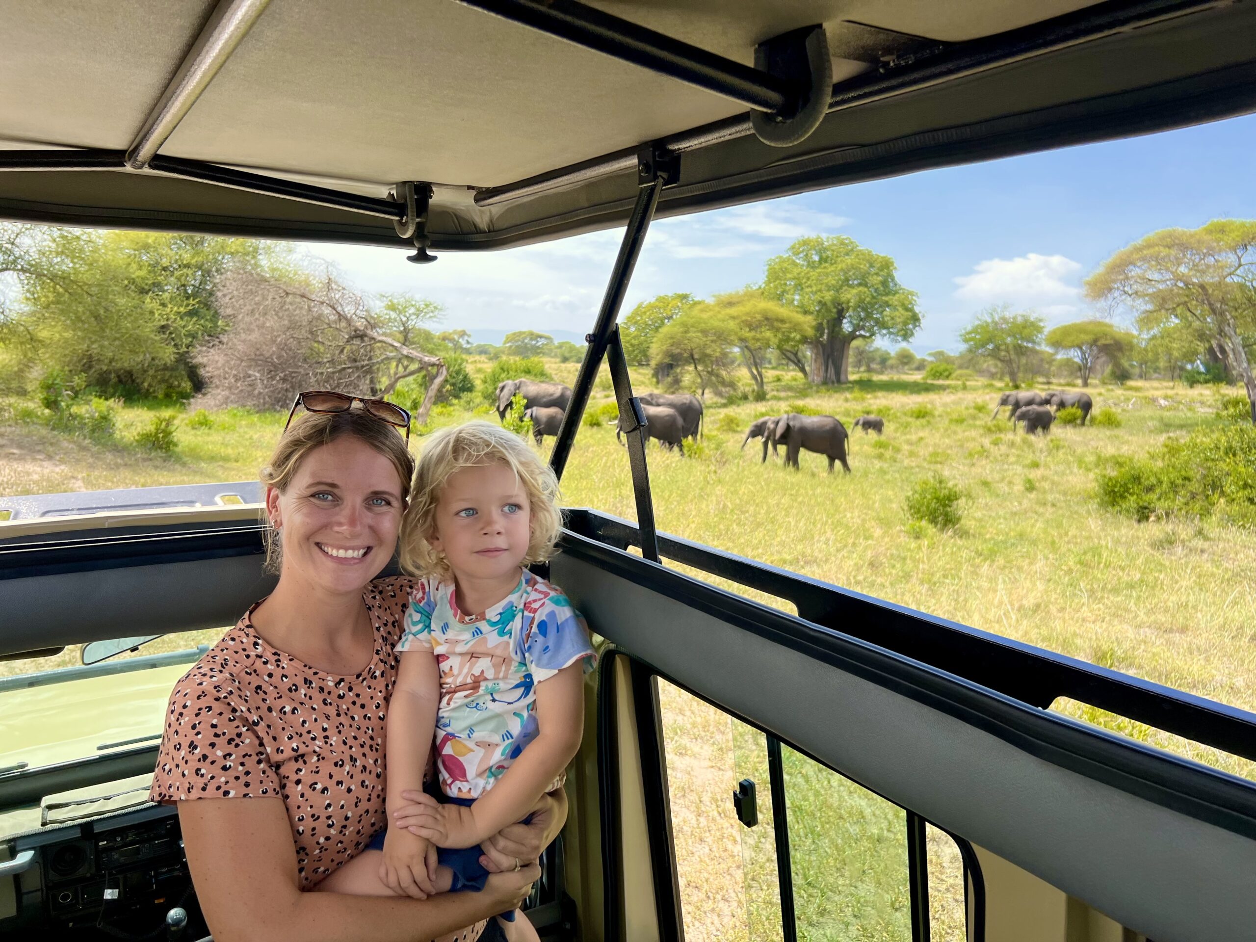 Safari Tarangire National Park Tanzania