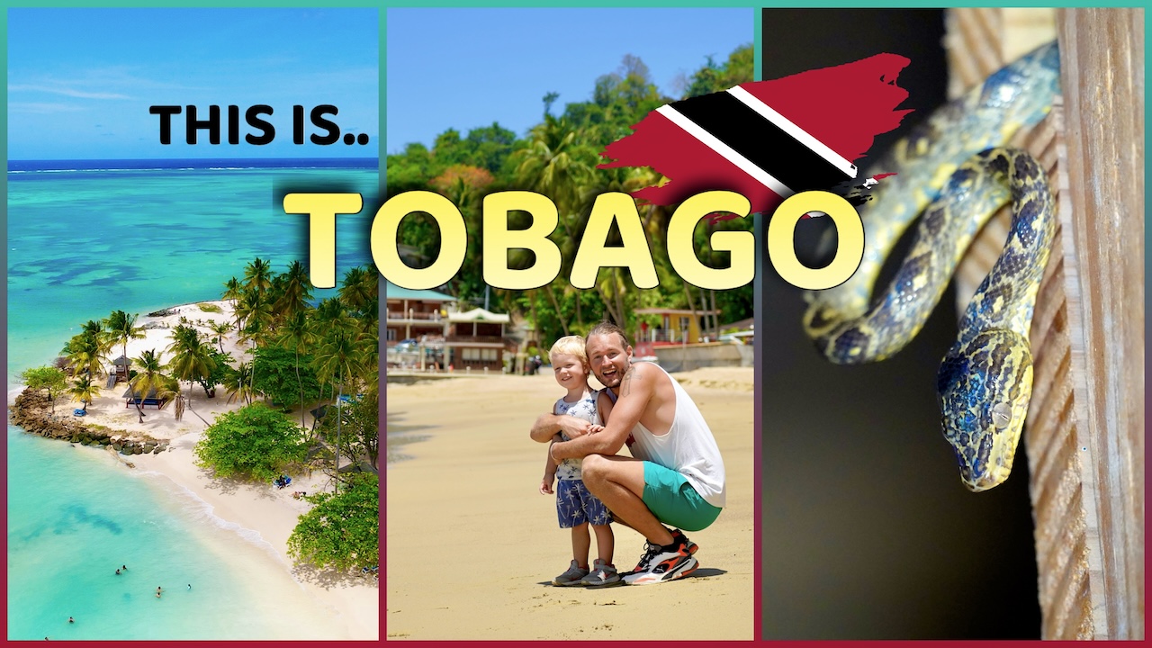 Tobago video